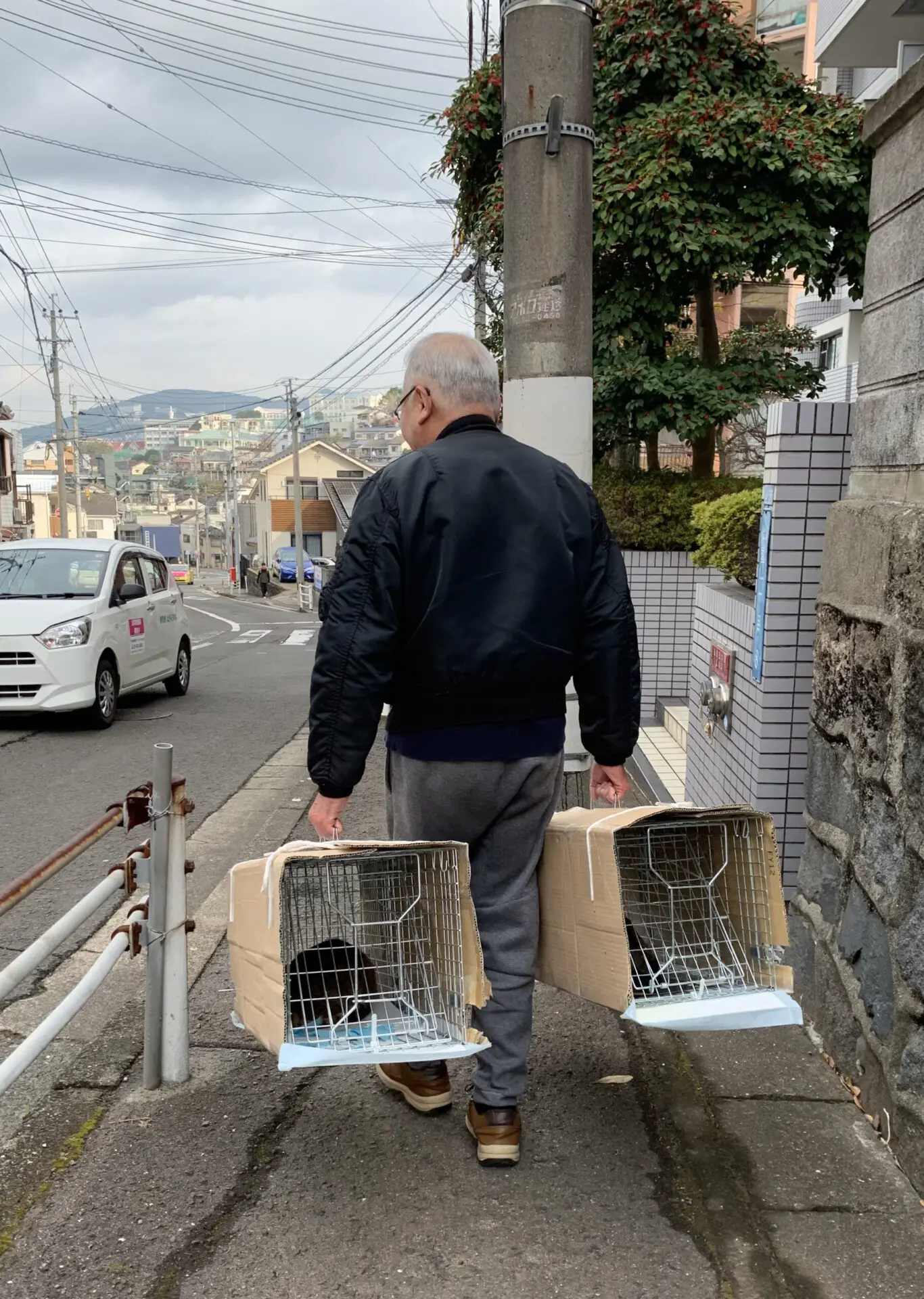 にゃんとかせんば出雲町～人もねこもwin-winな地域猫活動～ | 長崎の変