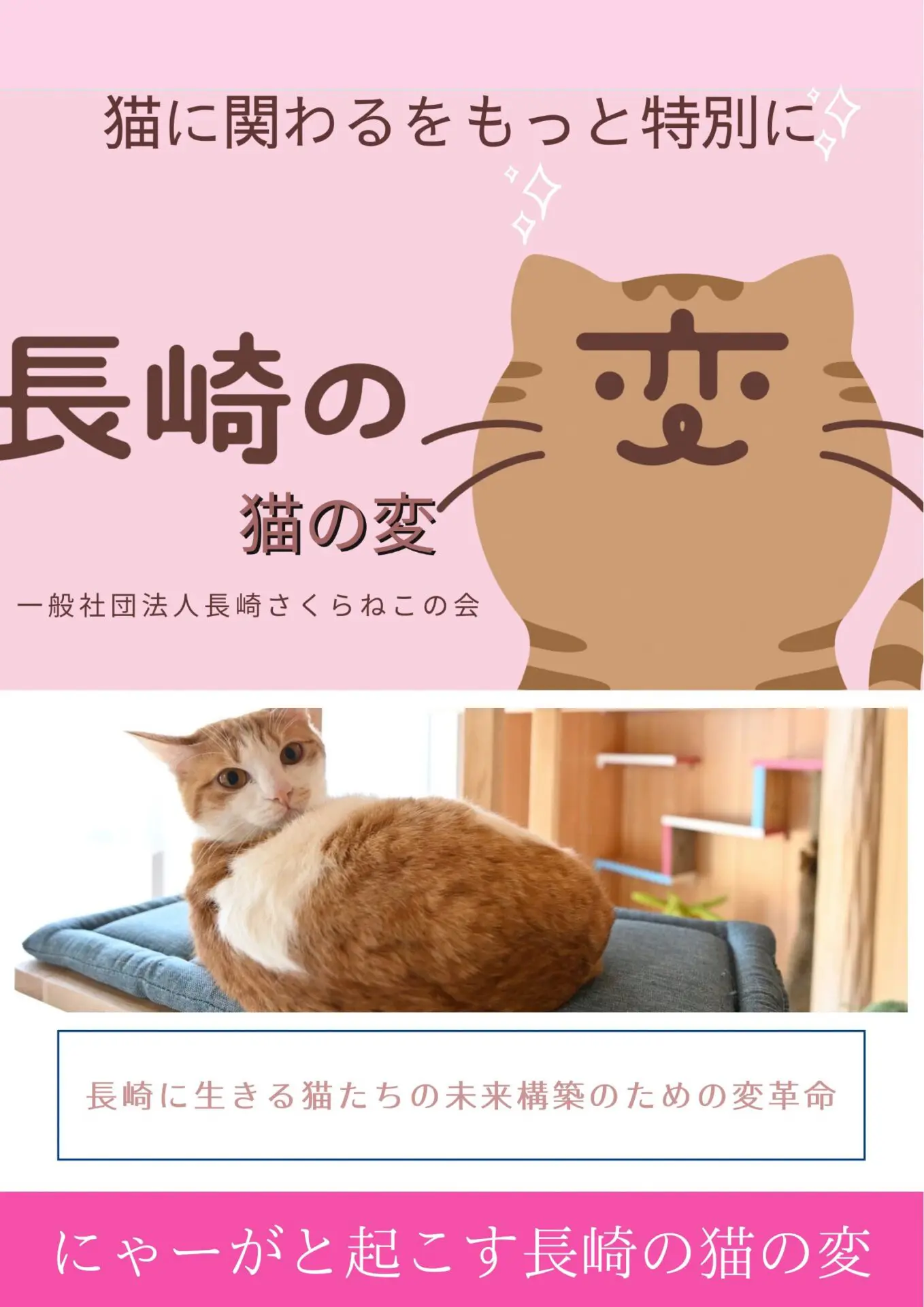 長崎の猫の変 ～猫の街長崎で起こす猫未来構築～ ｜ 長崎の変